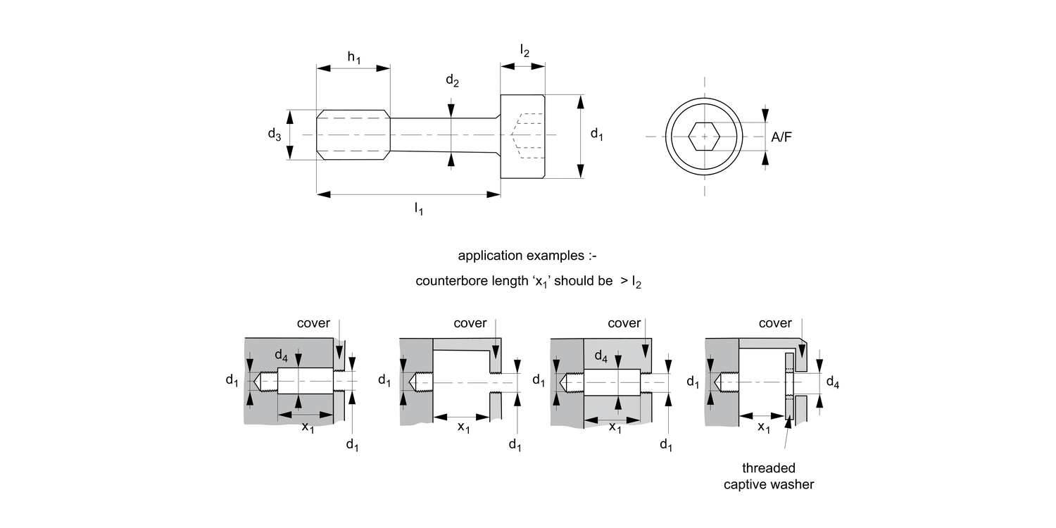36682.P2 Captive Screws - Cap Head