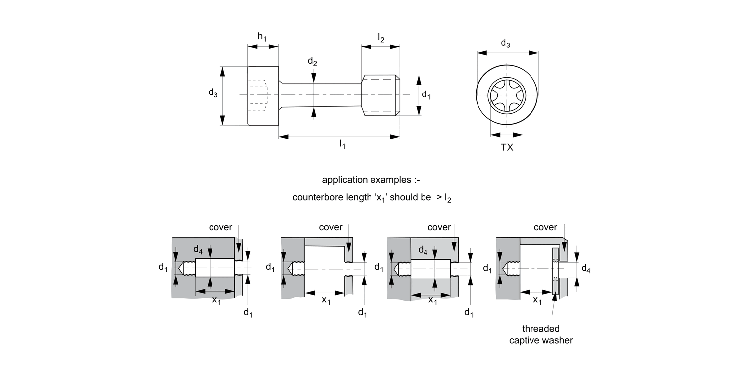 36689.Ti Captive Screws - Cap Head