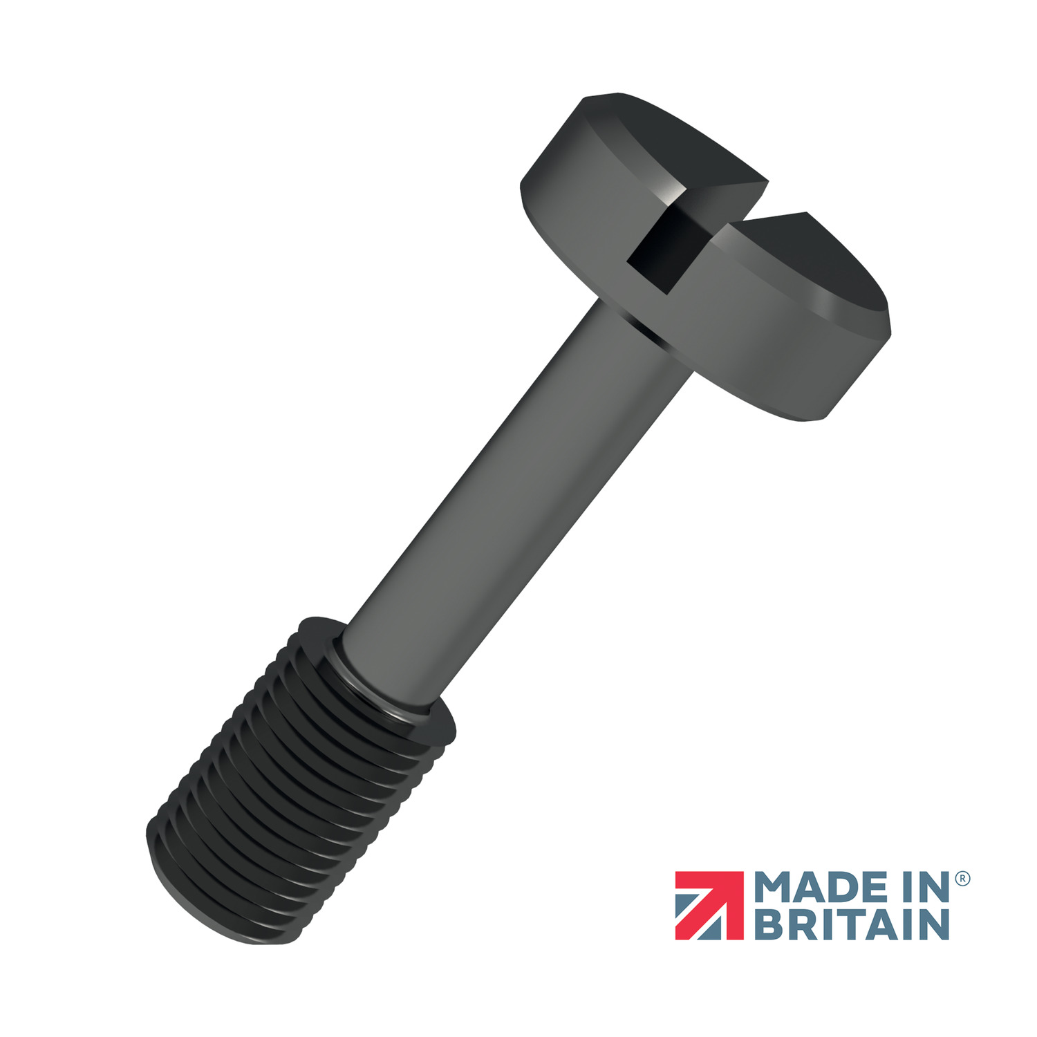 36694.B2 - Captive Screws - Cheese Head
