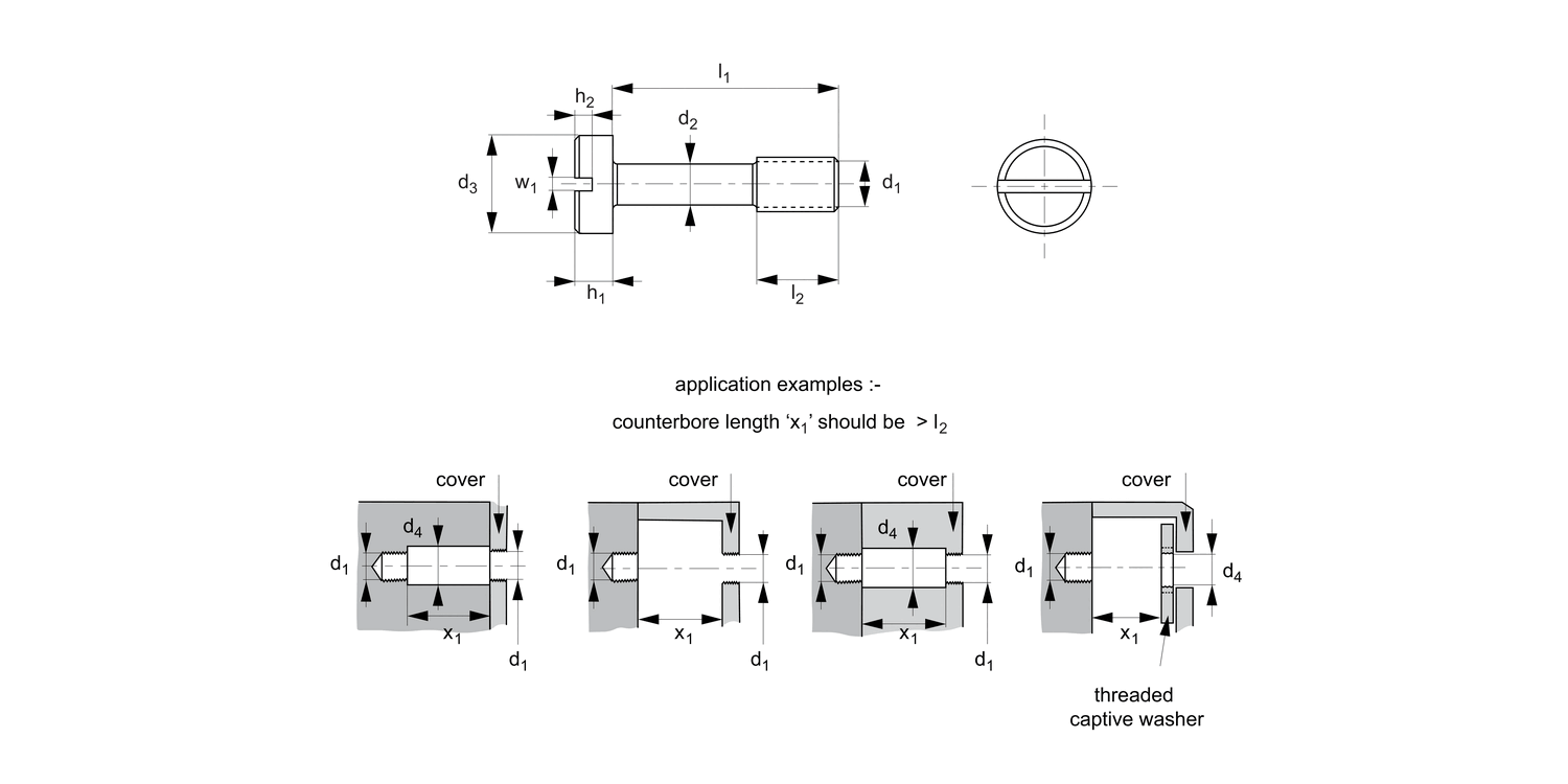 36694.Ti Captive Screws - Cheese Head