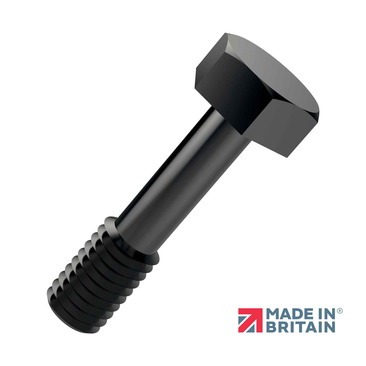 36696.B2 - Captive Screws - Hex Bolts