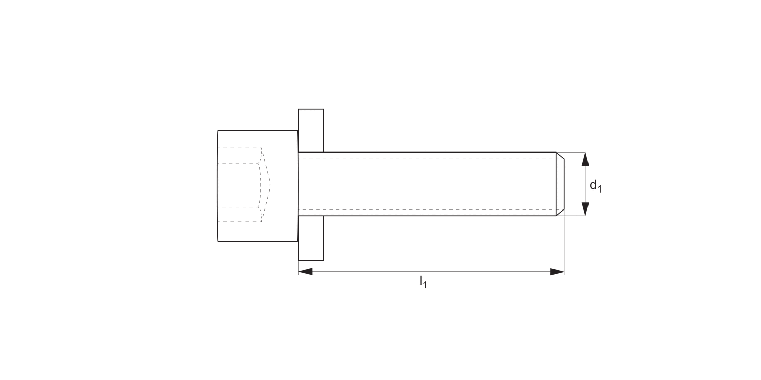 10654 Monobloc Clamping Screws