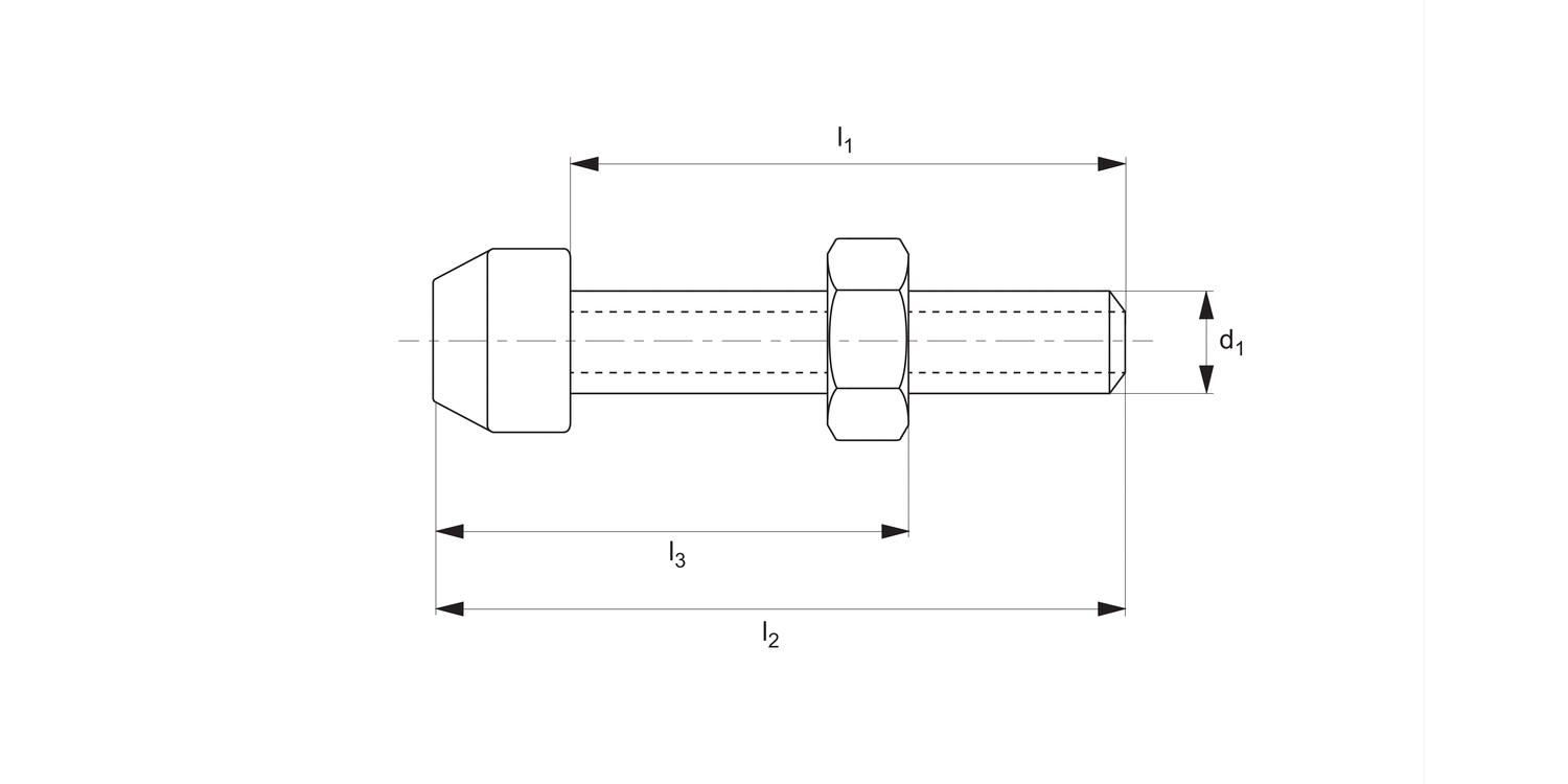 45020.1 Clamping Screws