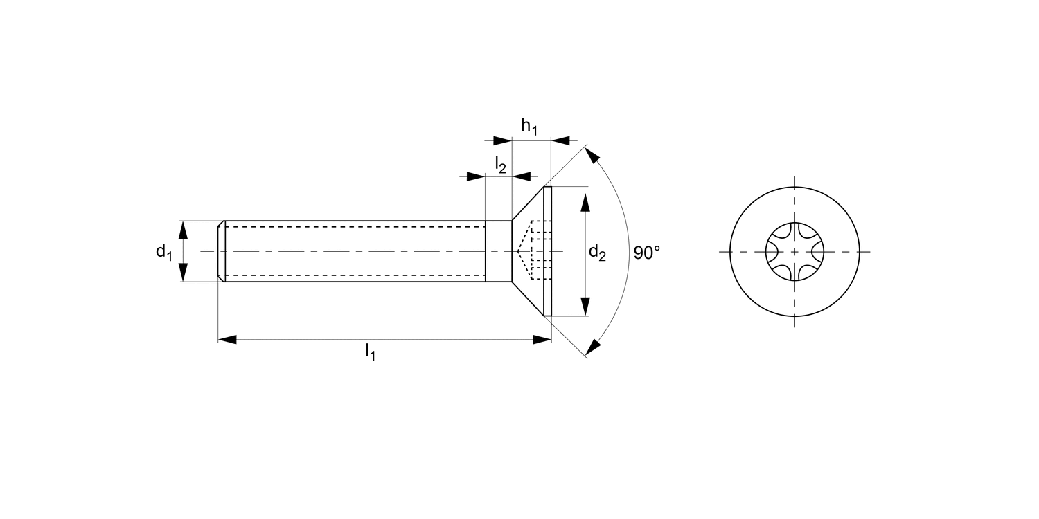 WN0515.NP Torx Countersunk Head Screws