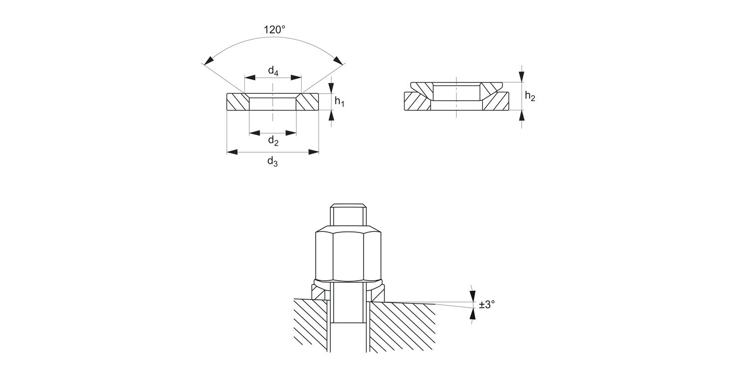 25505 Dished Washers
