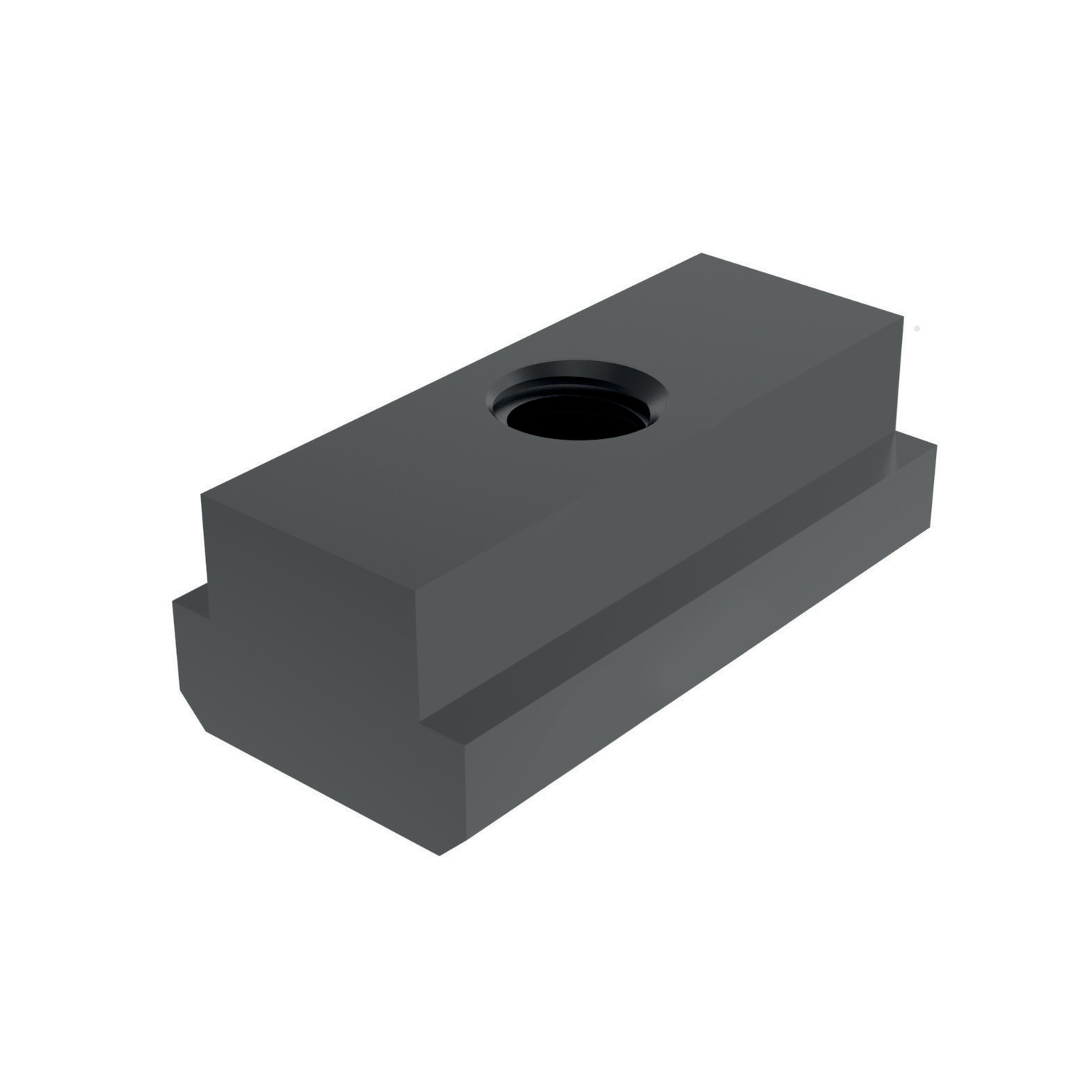 24100 Extended T-Nuts