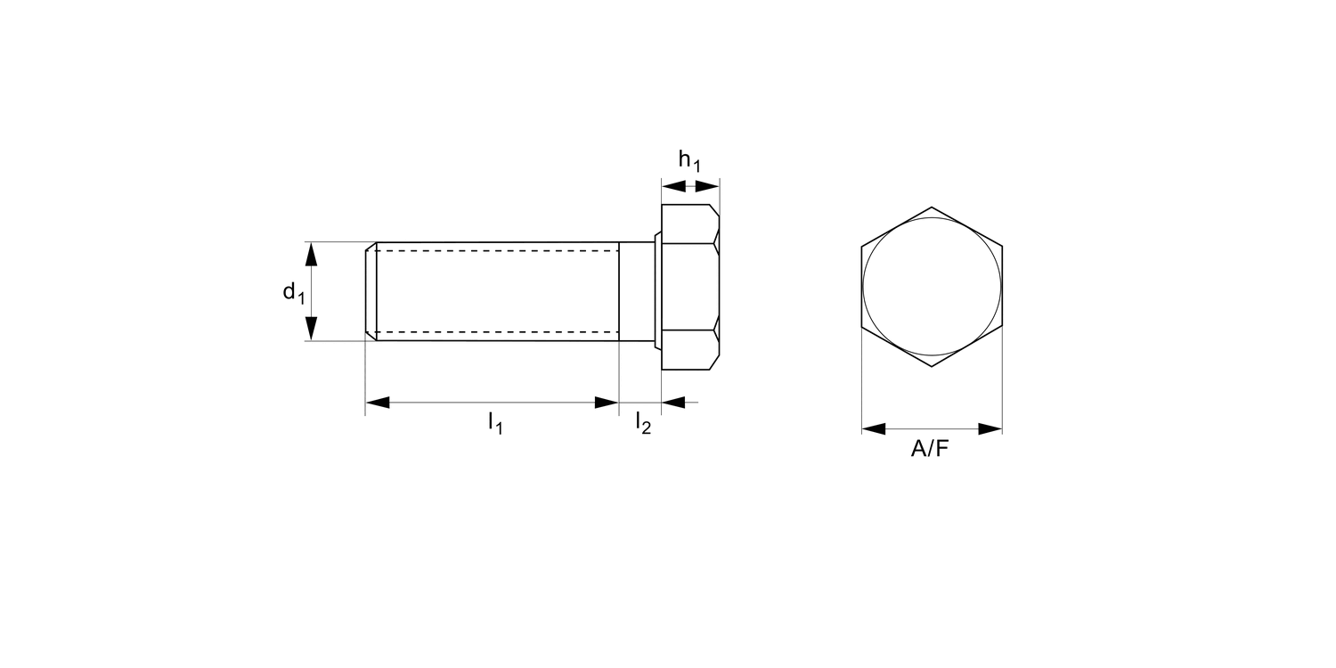 WN0501.NP Hexagonal Head Set Screw