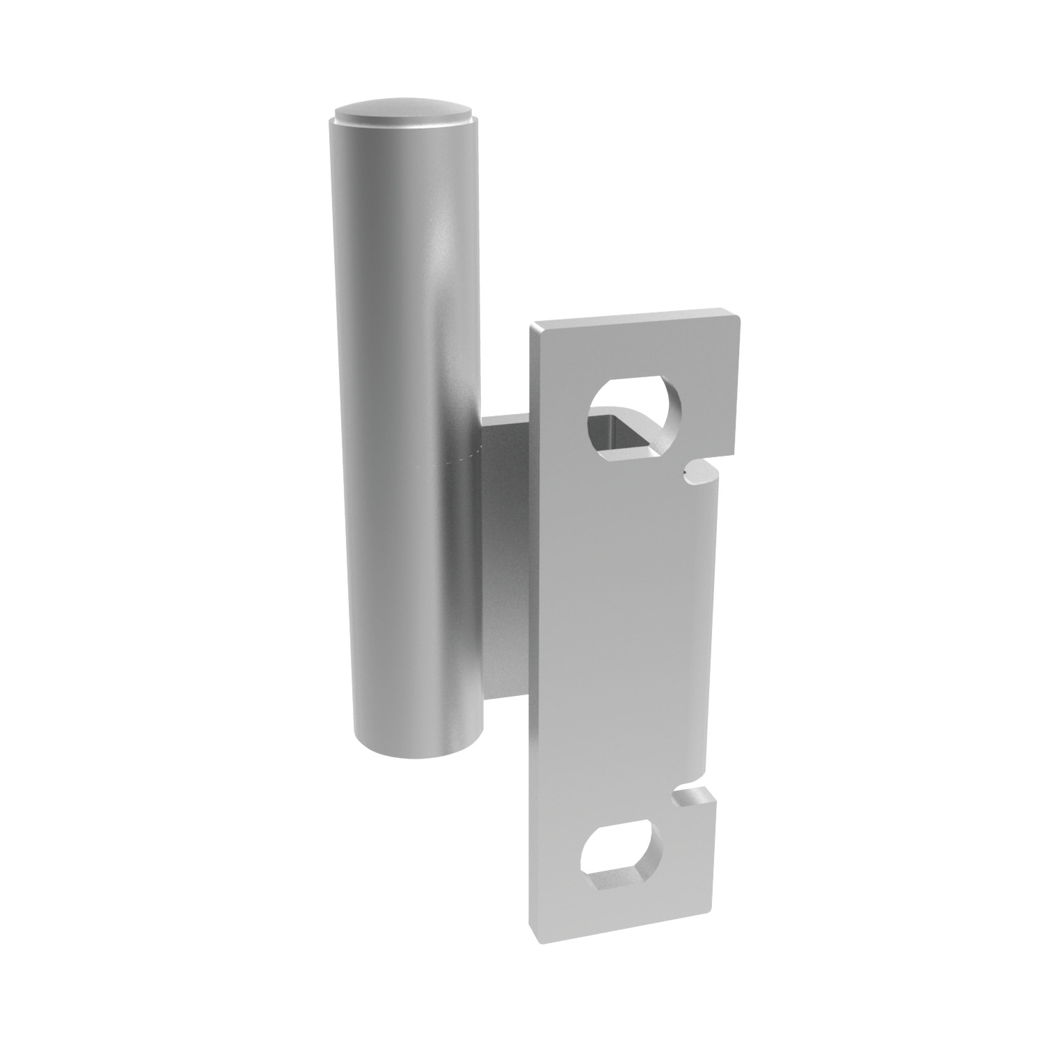 S2170 Concealed Pivot Hinges - Lift Off
