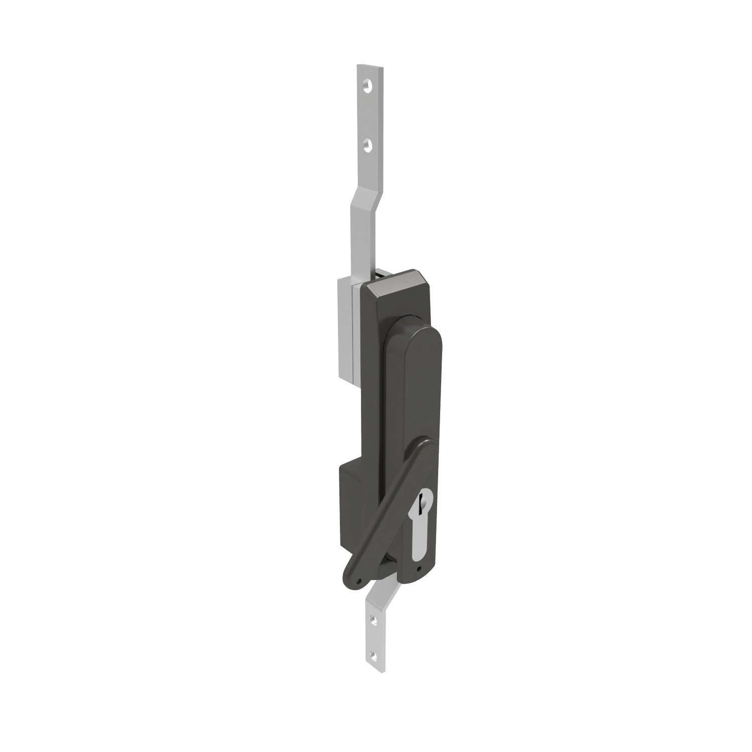 Product B2082, Swing Handles - with Rod Control 40mm euro cylinder lock - dust cover - zinc or polyamide / 