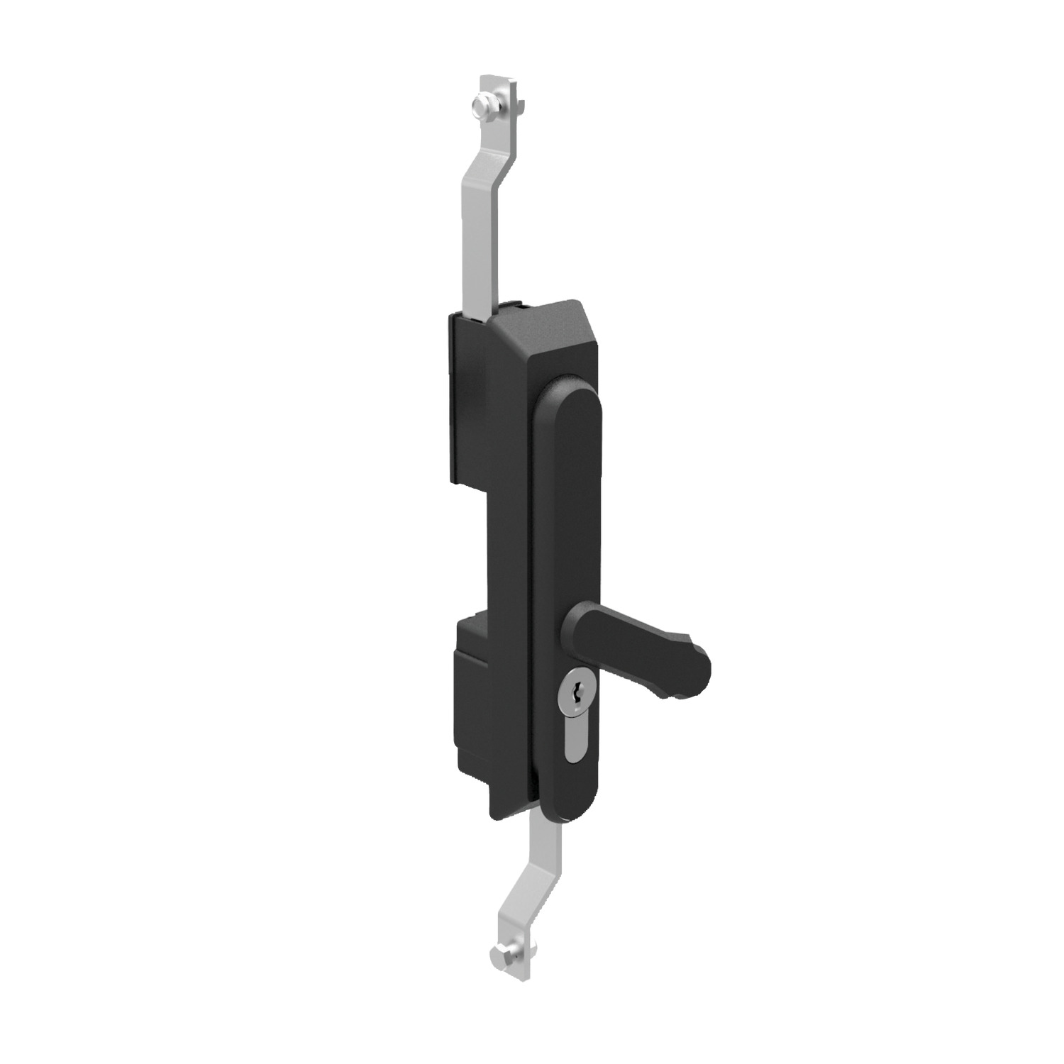 Product B2091, Swing Handles - with Rod Control 40mm euro cylinder lock - dust cover - polyamide / 