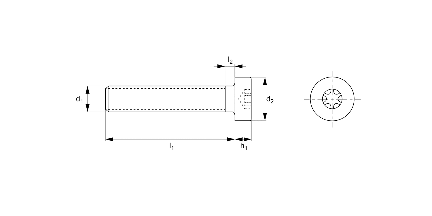 WN0509.NP Torx Low Cap Head Screws