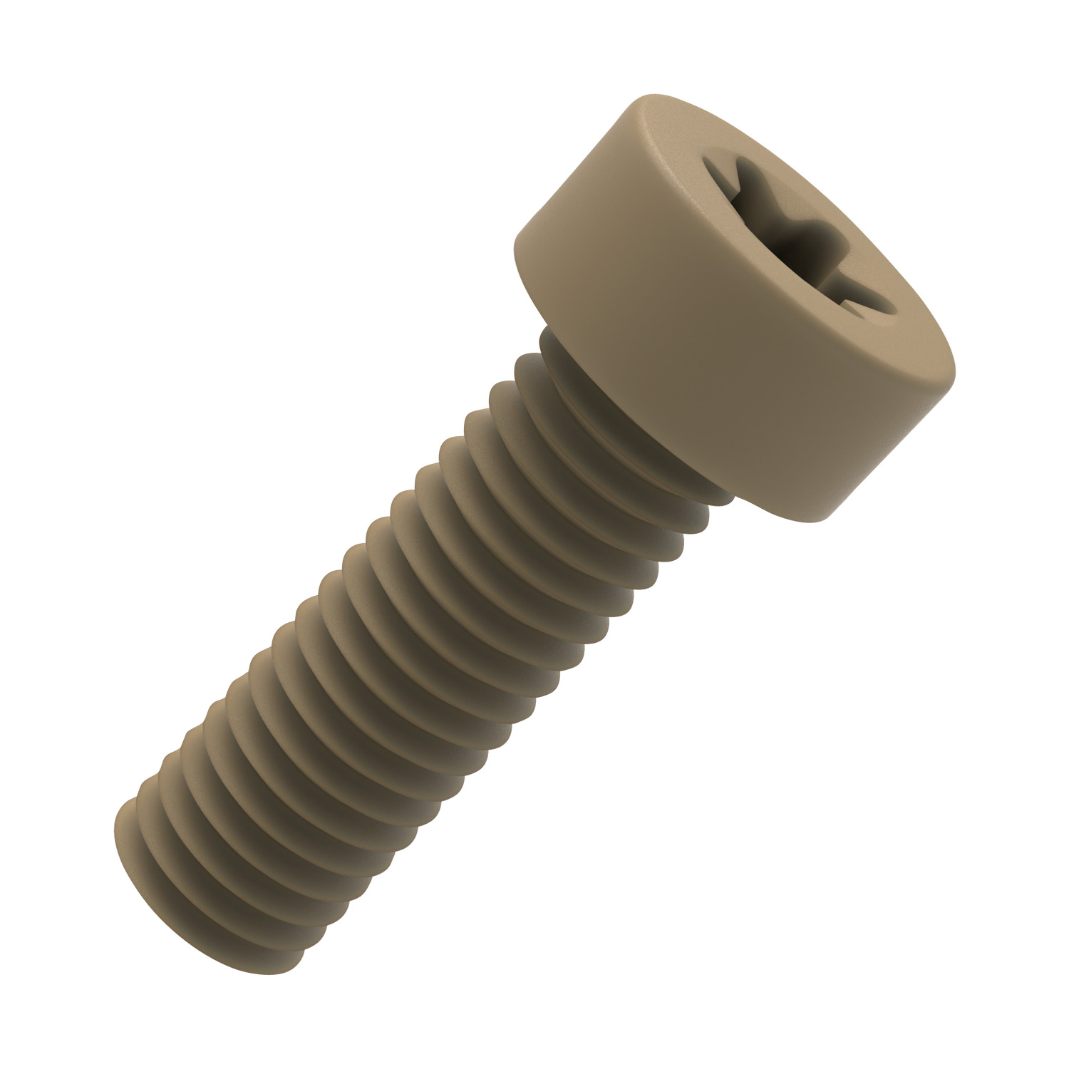 WN0509.NP Torx Low Cap Head Screws