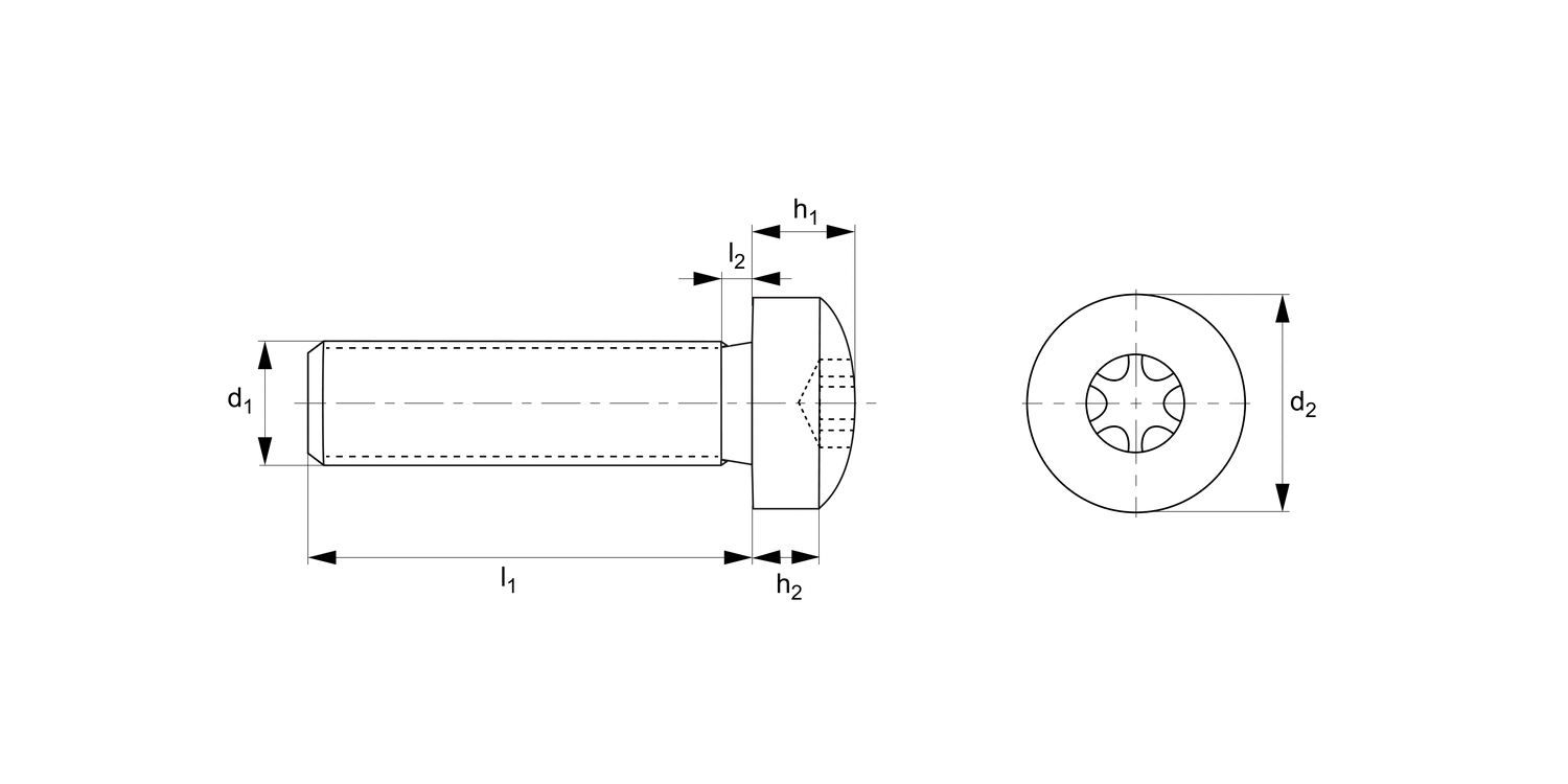 WN0520.NP Torx Pan Head Screws