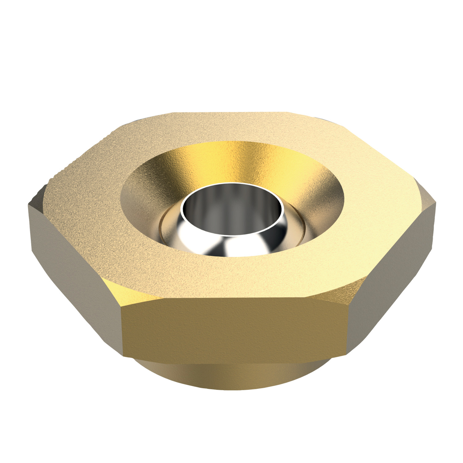 20104 Pressure Max - Spray Tips