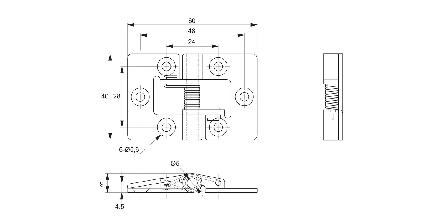 S4200 Spring Hinges - High Tension