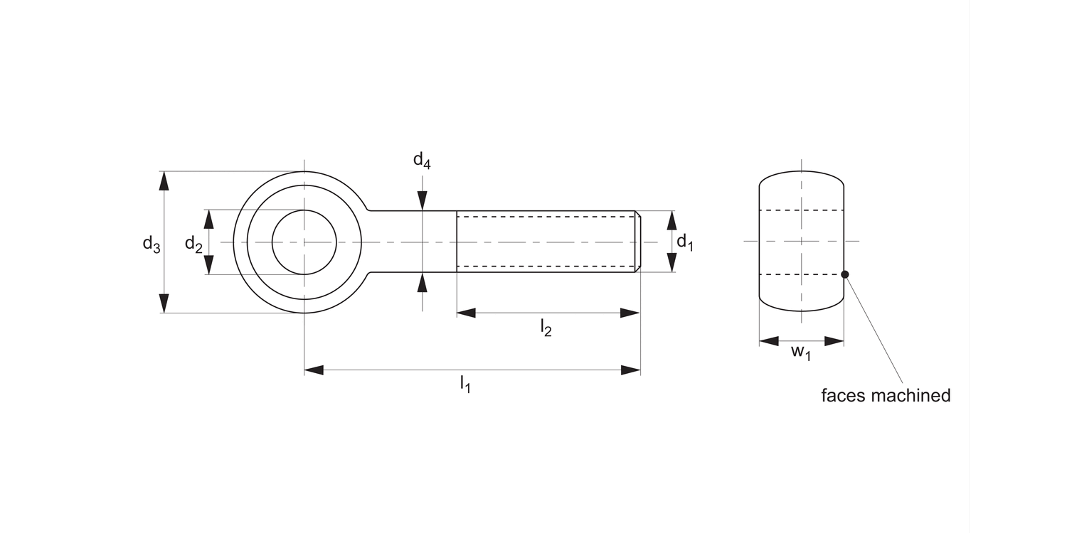 18830 Stainless Swing Bolts