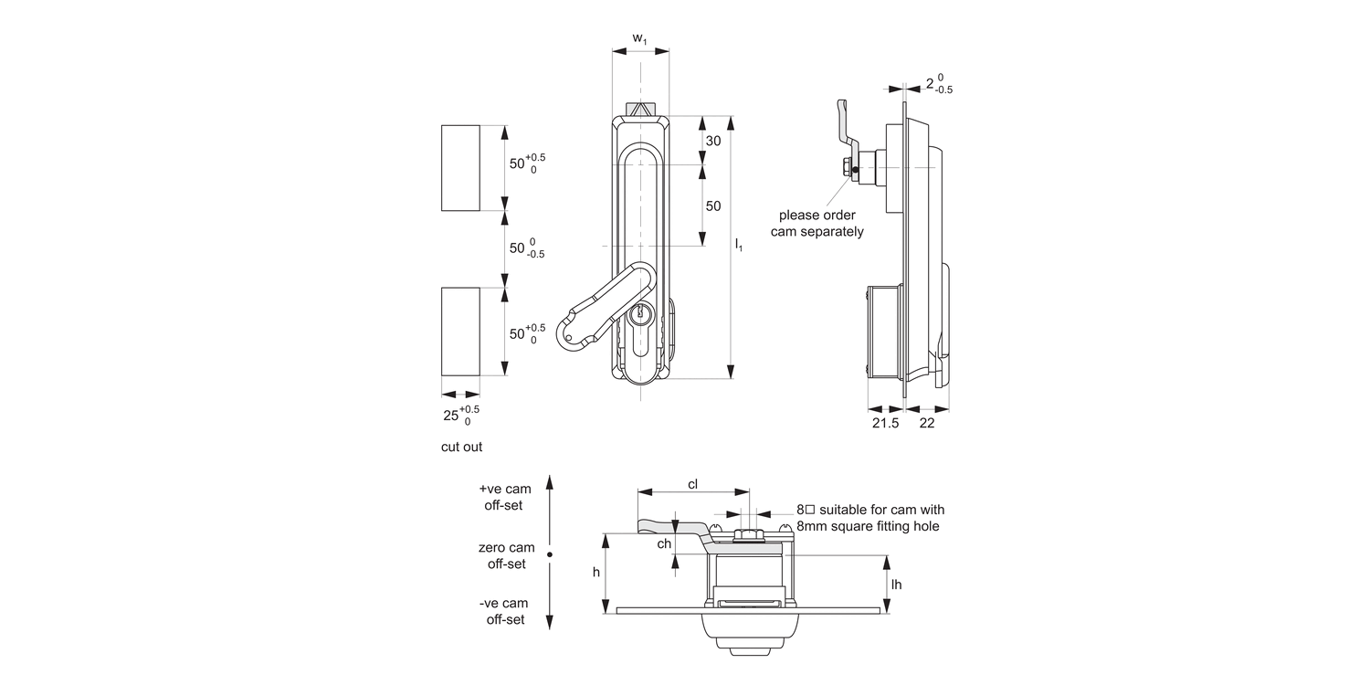 B1091 Swing Handles - Cam Control