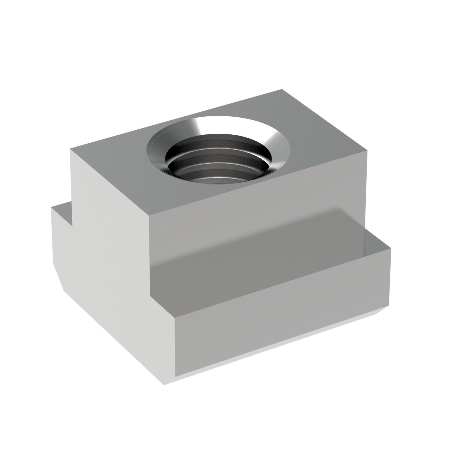 24020 T-Nuts